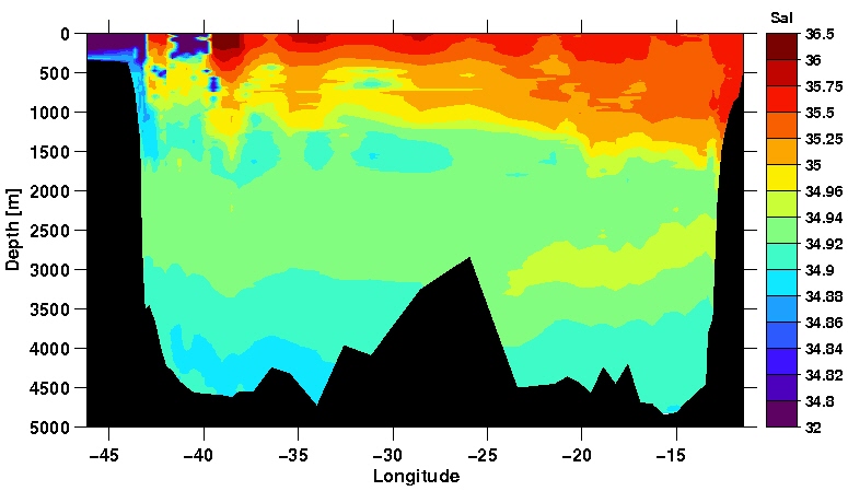 Salinity section